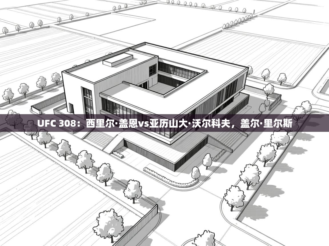 UFC 308：西里尔·盖恩vs亚历山大·沃尔科夫，盖尔·里尔斯  第1张
