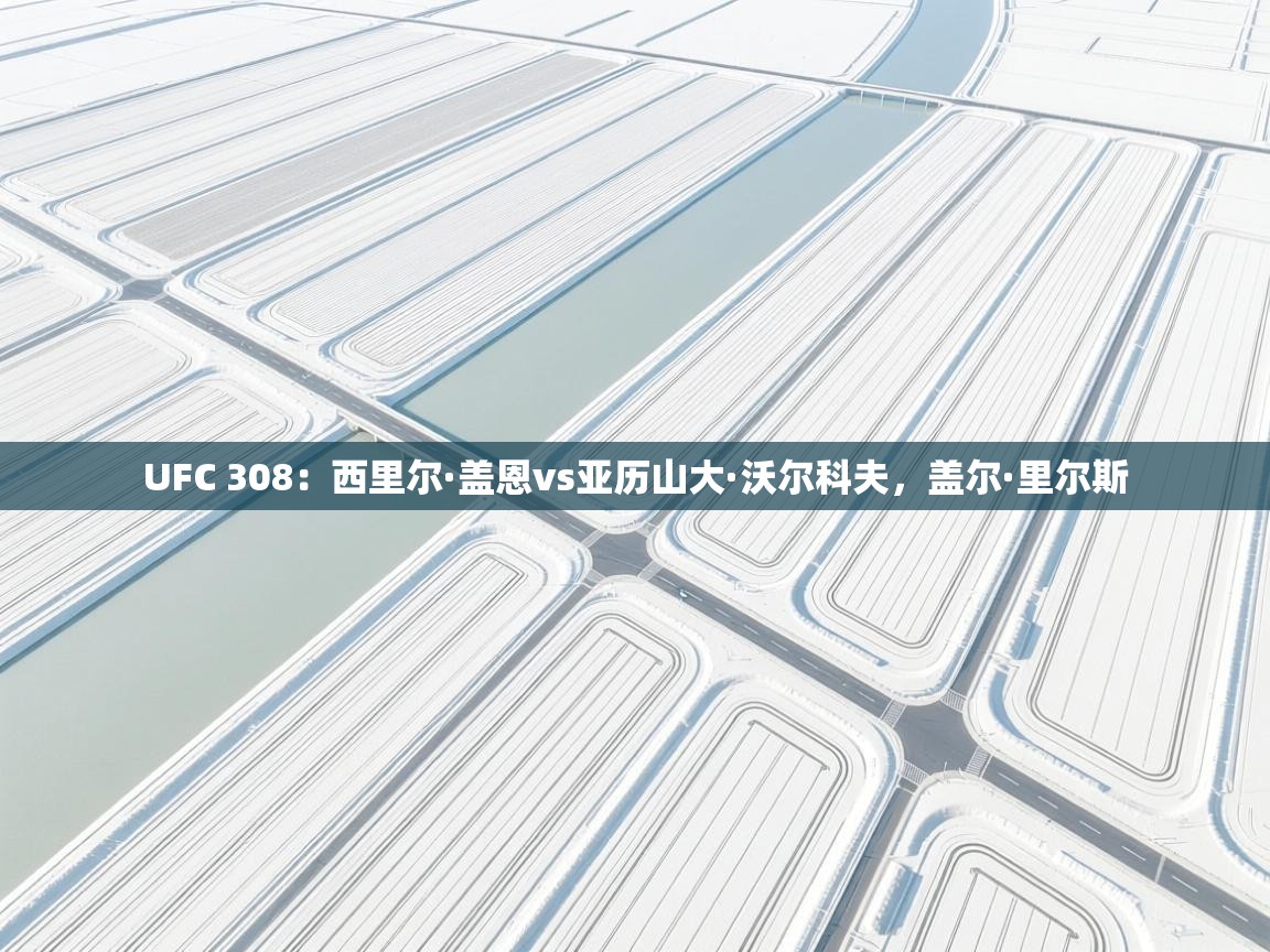 UFC 308：西里尔·盖恩vs亚历山大·沃尔科夫，盖尔·里尔斯  第2张