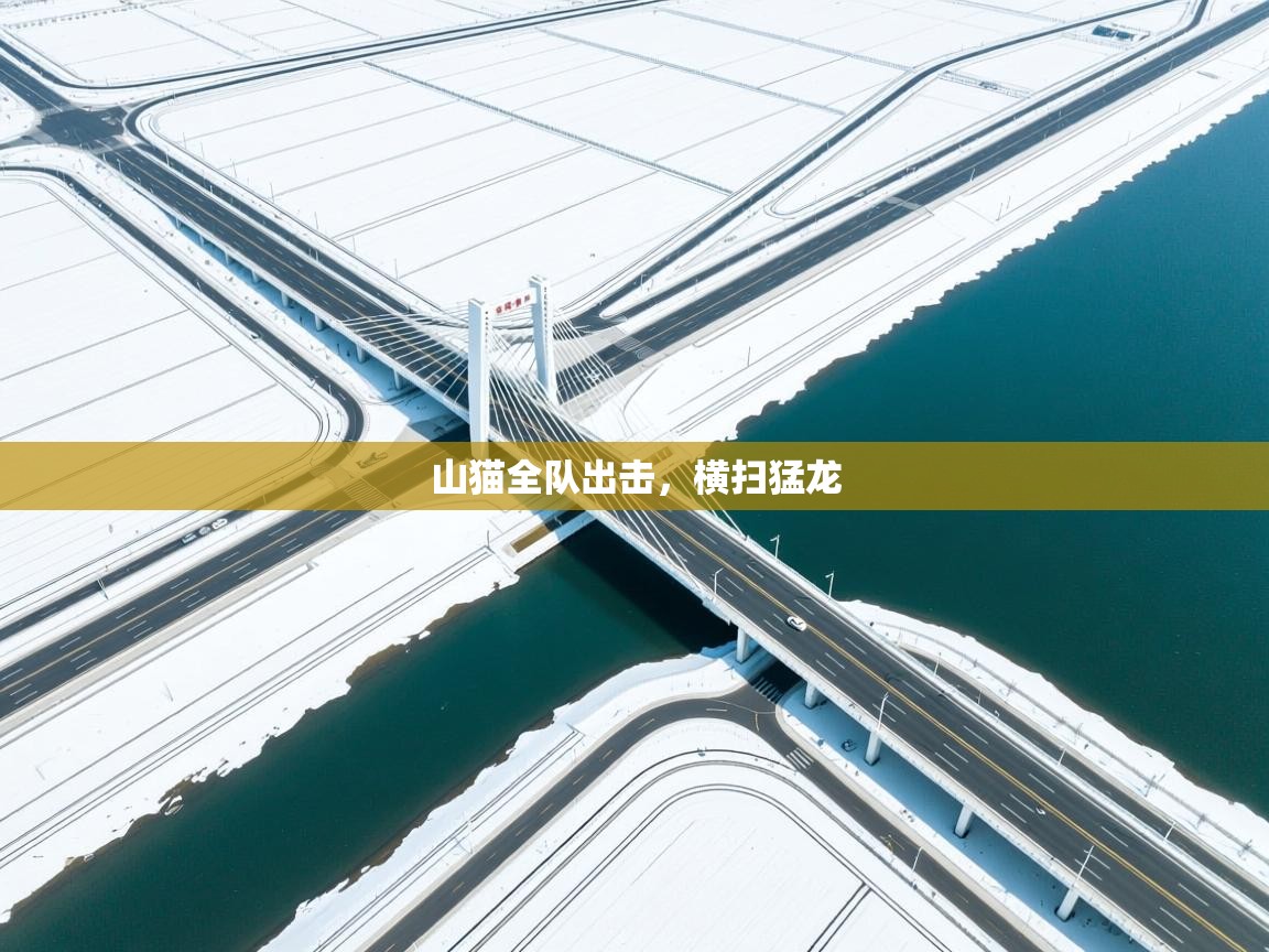 山猫全队出击，横扫猛龙  第2张