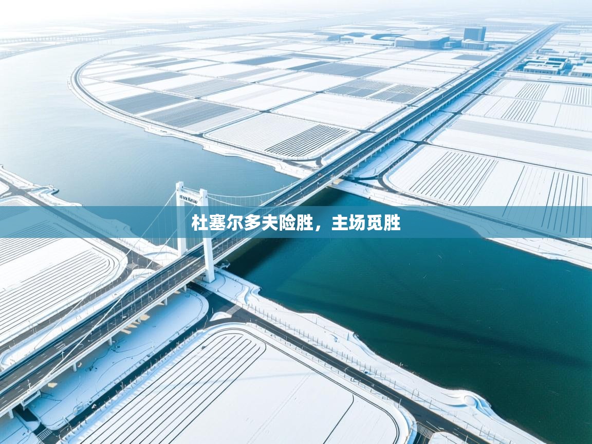 杜塞尔多夫险胜,主场觅胜 第2张